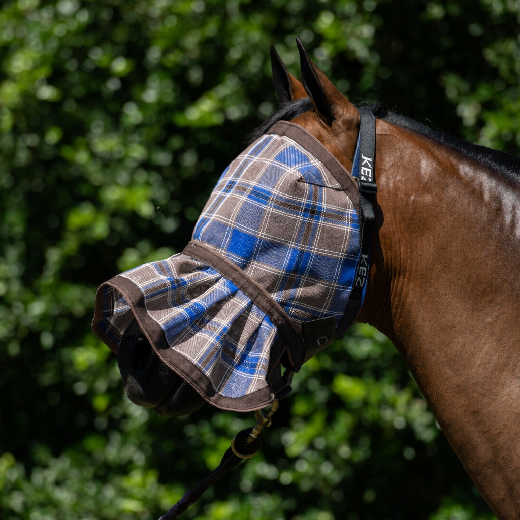 Ice Coffee Fly Veil on a bay horse