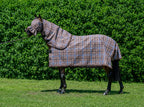 Ice Coffee Summer Weave mesh combo with fly mask on a bay horse