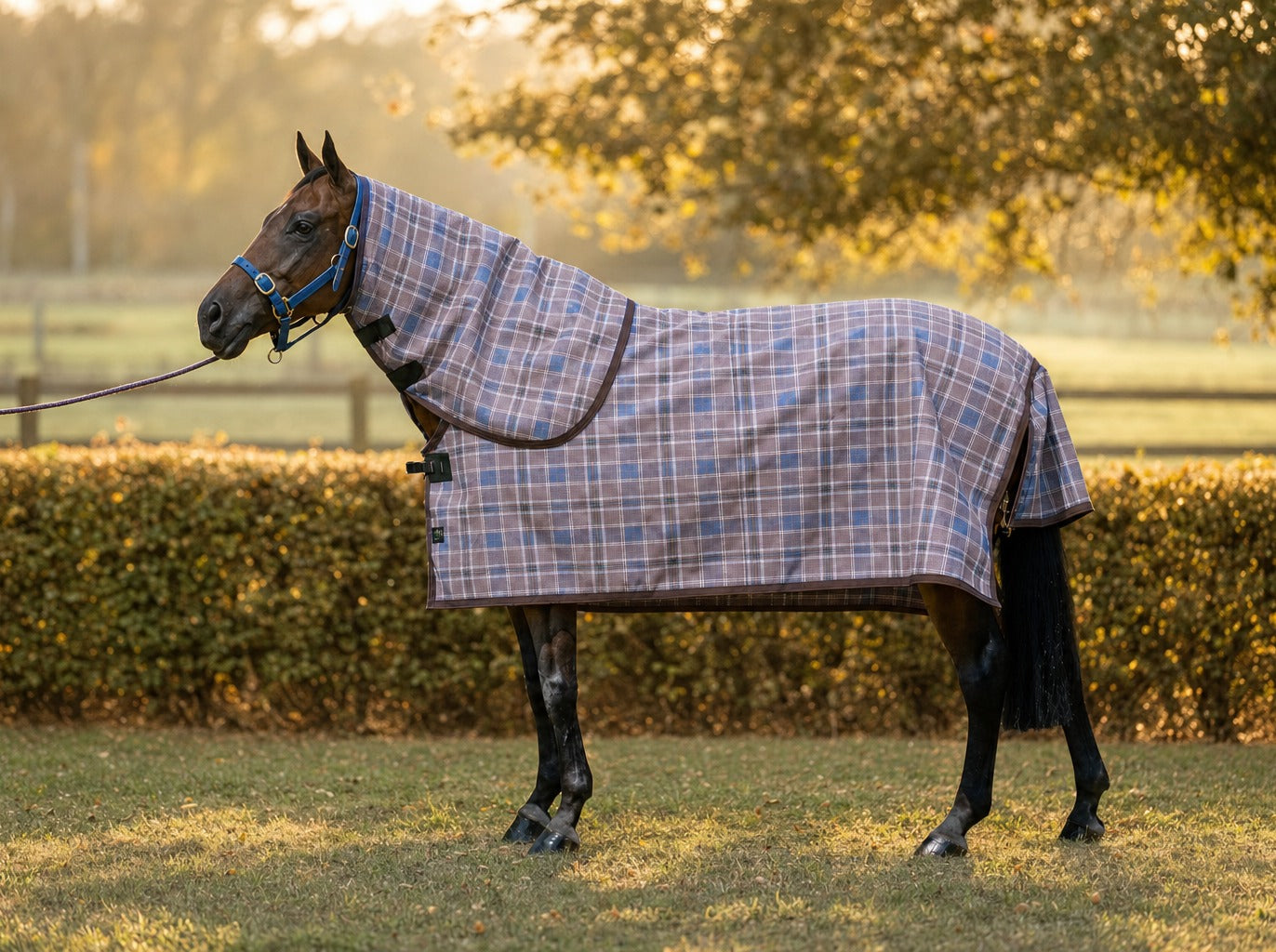 Ice Coffee Summer Weave mesh neck combo on a bay horse