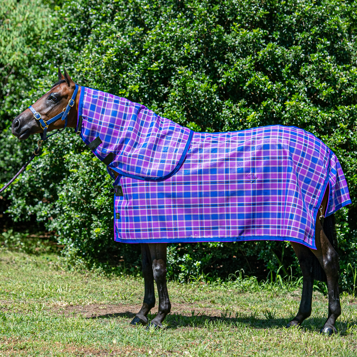 Kez Rugs, Australian made horse rugs