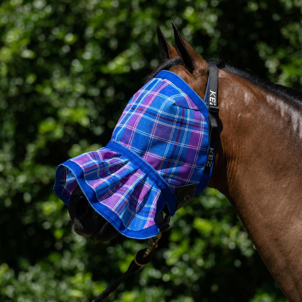 Bubble Gum Fly Veil on a bay horse