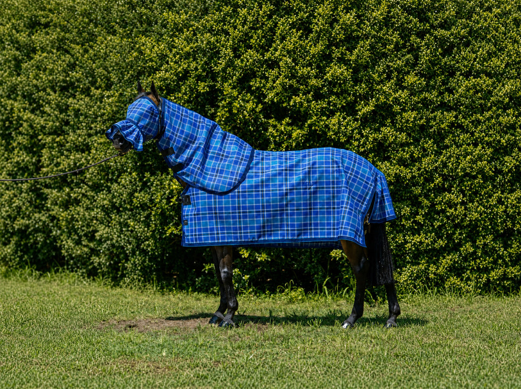 Ocean Summer Weave mesh combo with fly mask on a bay horse