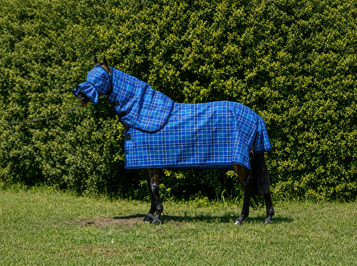 Ocean Summer Weave mesh combo with fly mask on a bay horse
