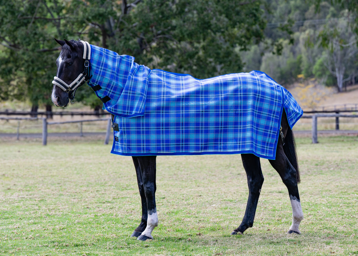 Ocean Ultra Mesh Summer Weave neck rug on a black horse, full side view