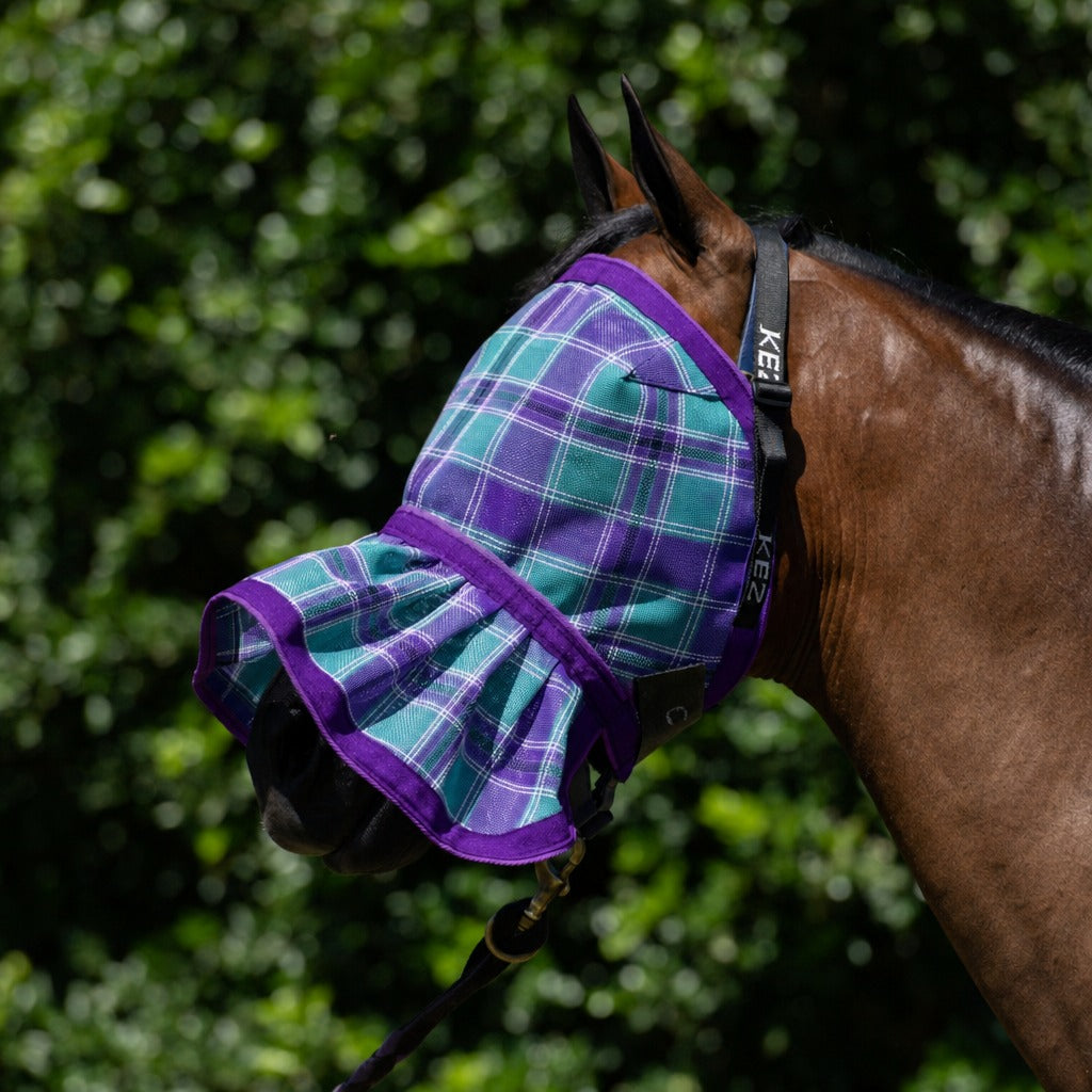 Peppermint Fly Veil on a bay horse