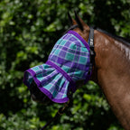 Peppermint Fly Veil on a bay horse