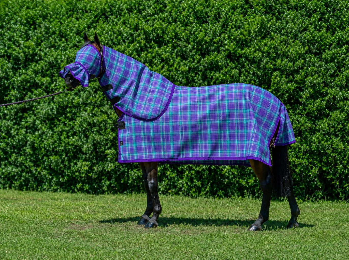 Peppermint Summer Weave mesh combo with fly mask on a bay horse