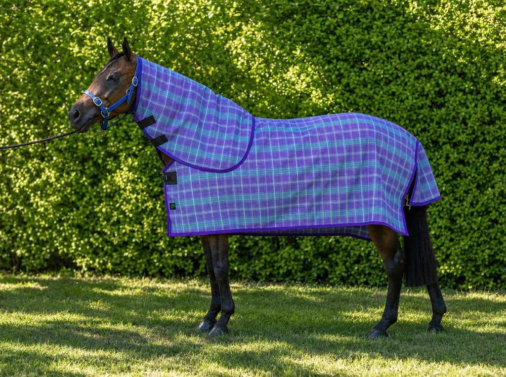 Peppermint Summer Weave mesh neck combo on a bay horse