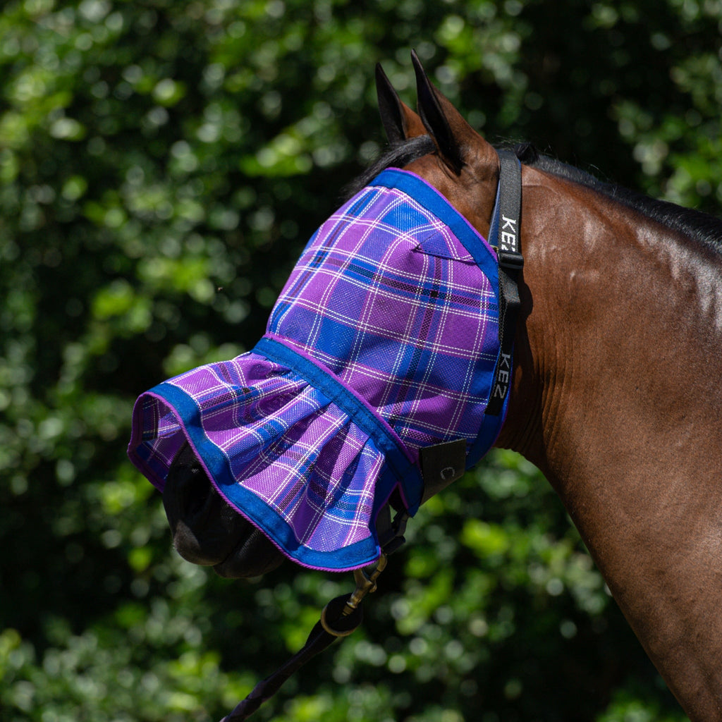 Regal Fly Veil on a bay horse