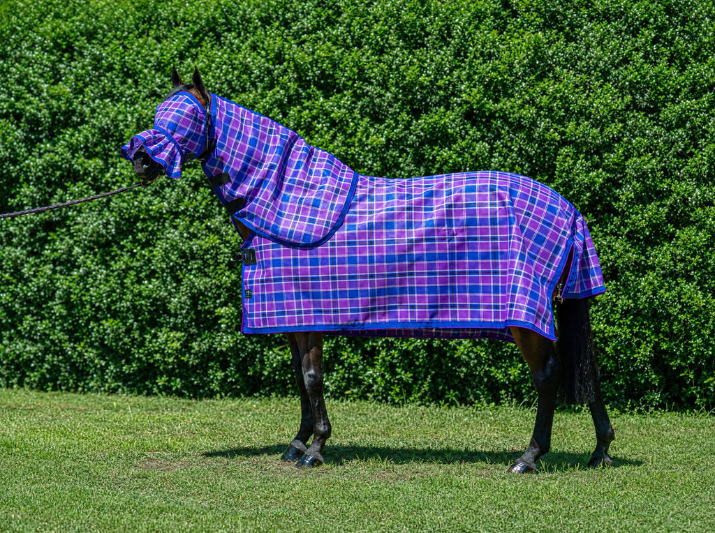 Regal Summer Weave mesh combo with fly mask on a bay horse