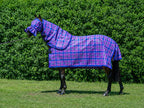 Regal Summer Weave mesh combo with fly mask on a bay horse