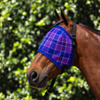 Regal Ultra Mesh Fly Mask without nose attachment, three-quarter close-up, AI colour-matched to real product photography