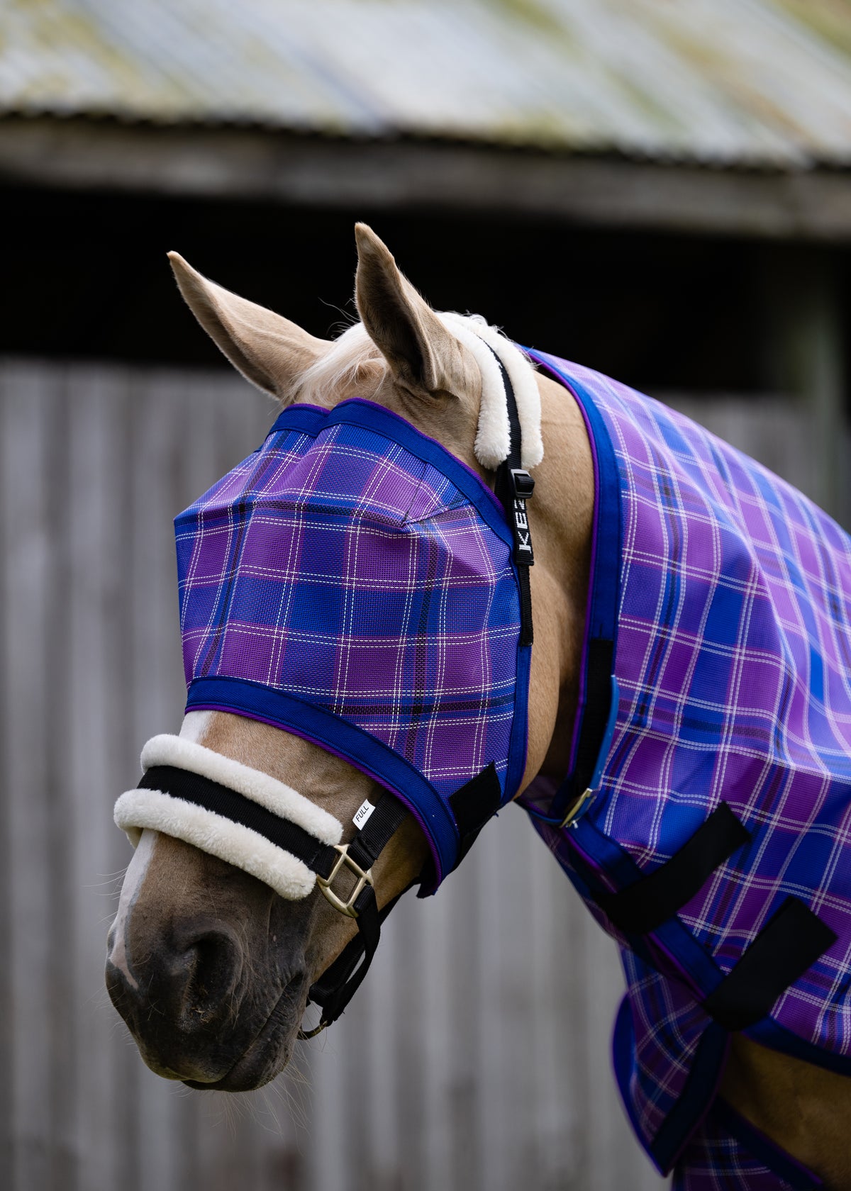 Regal Ultra Mesh Fly Mask without nose attachment, alternate three-quarter close-up