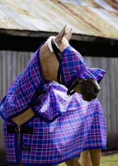 Regal Ultra Mesh Fly Mask