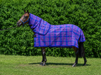 Regal Ultra Mesh Summer Weave neck combo, full side view, AI colour-matched to real product photography