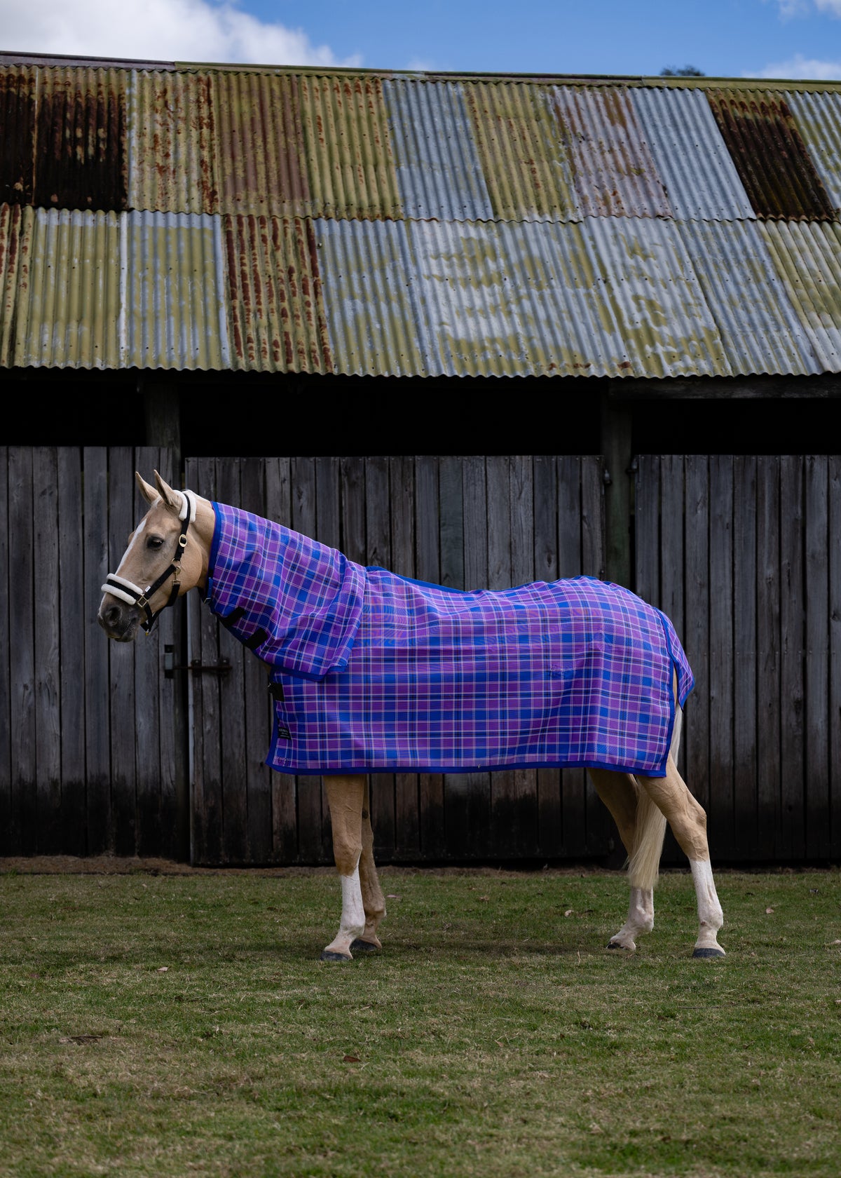 Regal Ultra Mesh Summer Weave neck combo, wider portrait by the timber shed