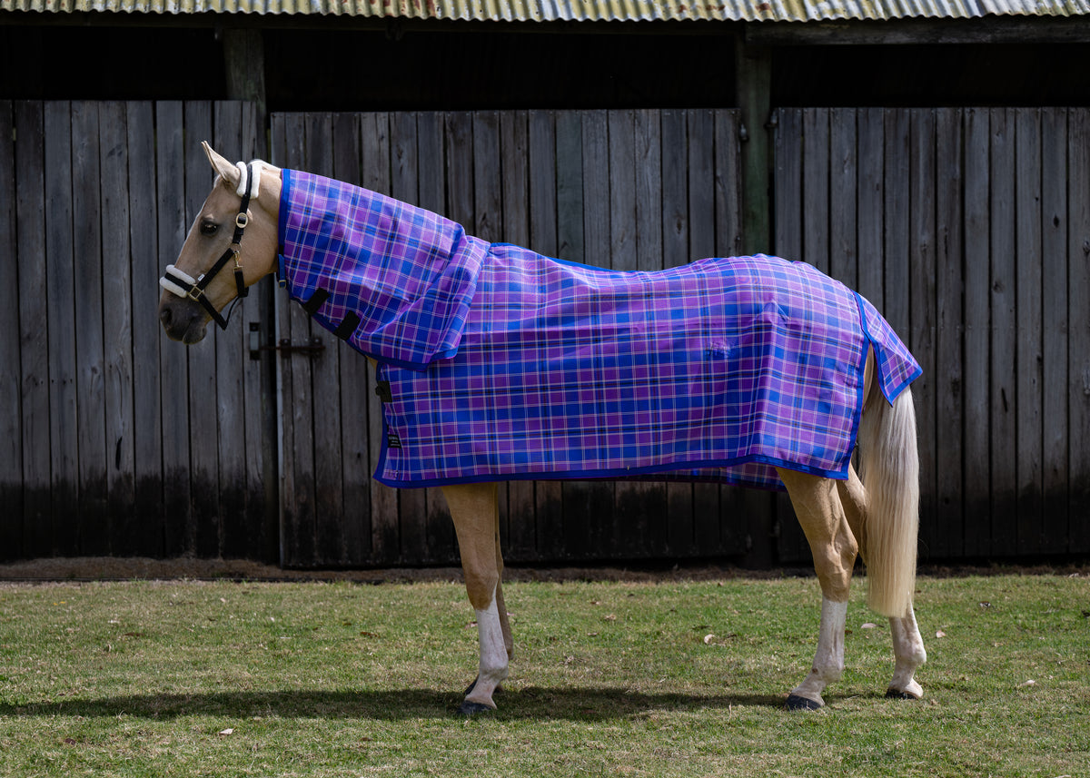 Regal Ultra Mesh Summer Weave neck combo on a palomino horse, main full side view