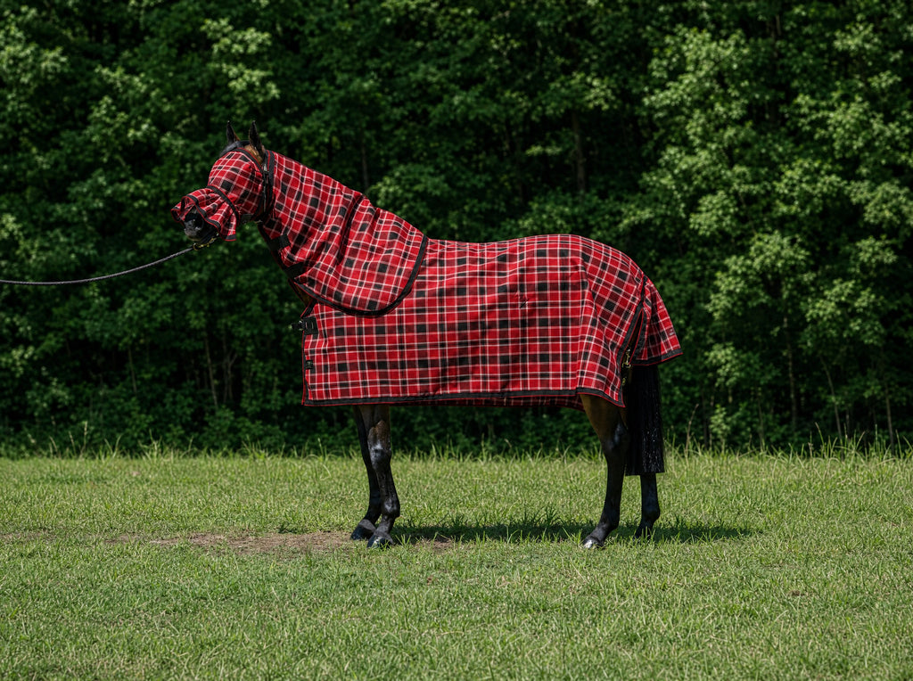 Scarlet Summer Weave mesh combo with fly mask on a bay horse