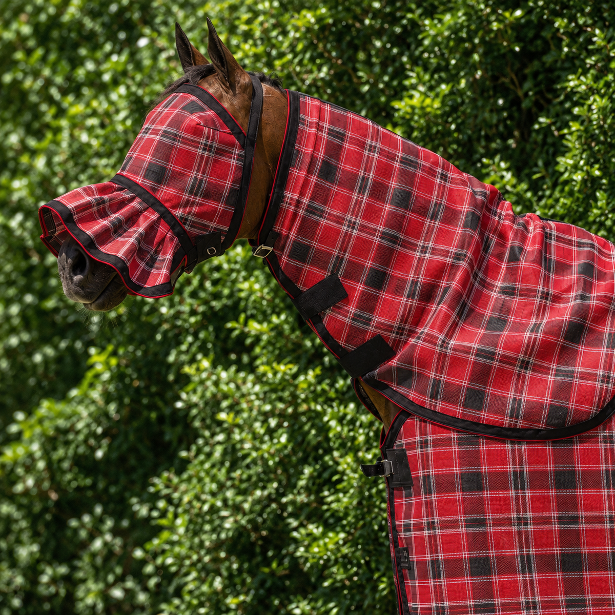 Scarlet Ultra Mesh Fly Mask with nose attachment and matching neck combo, close-up, AI colour-matched to real product photography