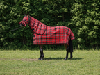 Scarlet Ultra Mesh Summer Weave neck combo with matching fly mask, full side view, AI colour-matched to real product photography