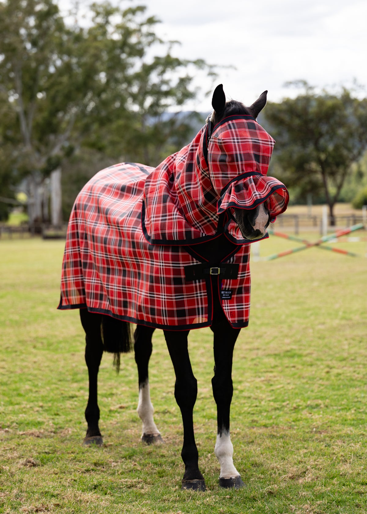 Scarlet Ultra Mesh Summer Weave neck combo with pleated nose fly mask, full front portrait