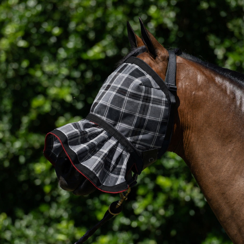 Storm Fly Veil on a bay horse