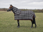 Storm Summer Weave mesh neck combo on a bay horse