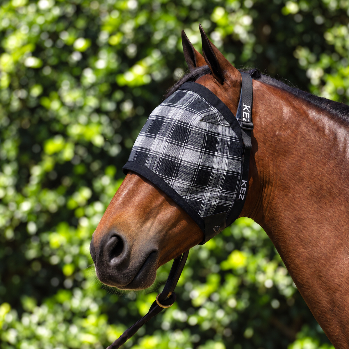 Storm Ultra Mesh Fly Mask without nose attachment on a bay horse