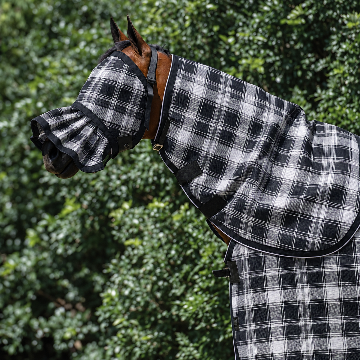 Storm Ultra Mesh Fly Mask with pleated nose and matching neck combo on a bay horse