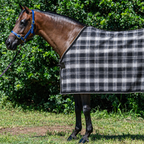 Storm Ultra Mesh Summer Weave rug only on a bay horse