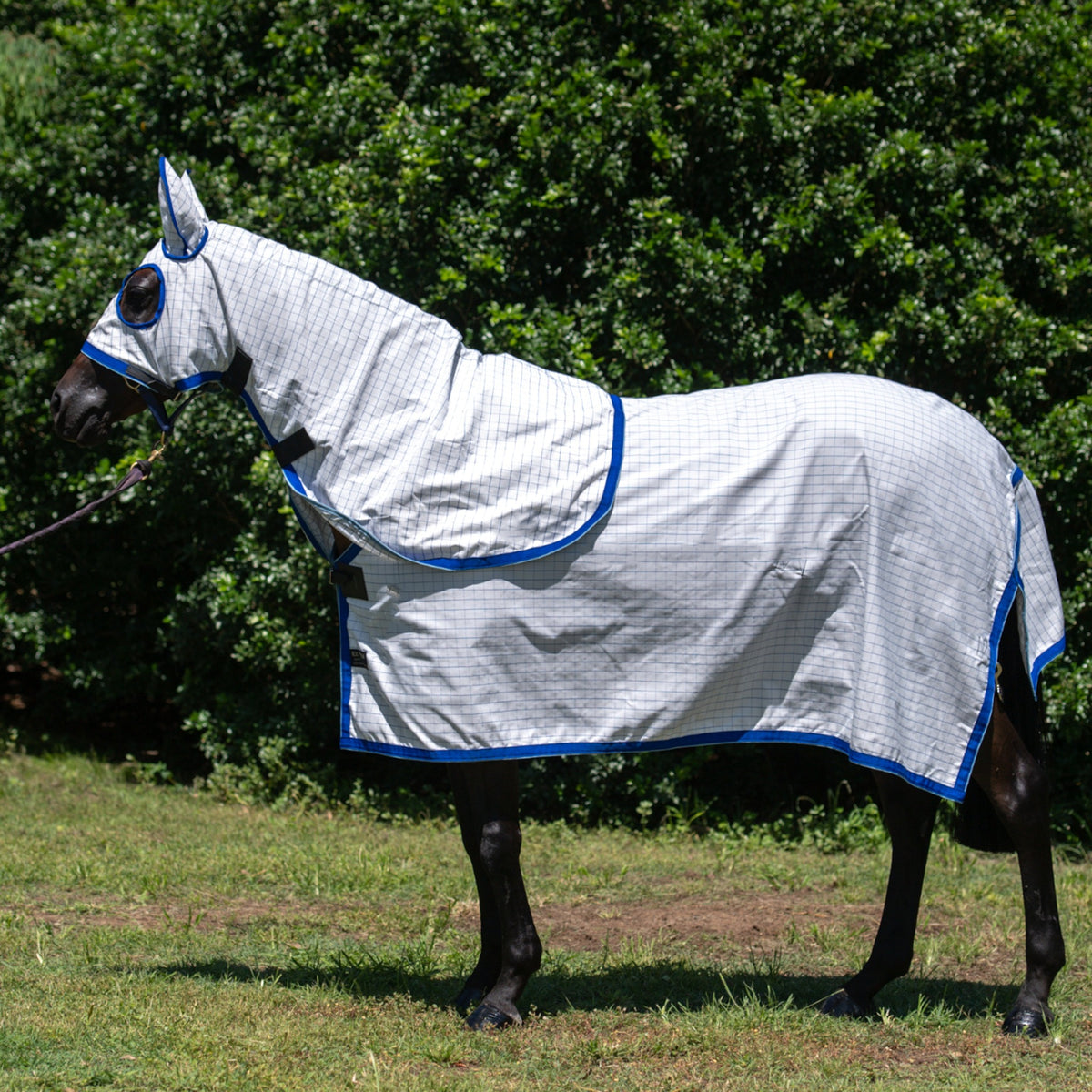 White with Blue Check Ripstop neck combo with hood, on a grey horse