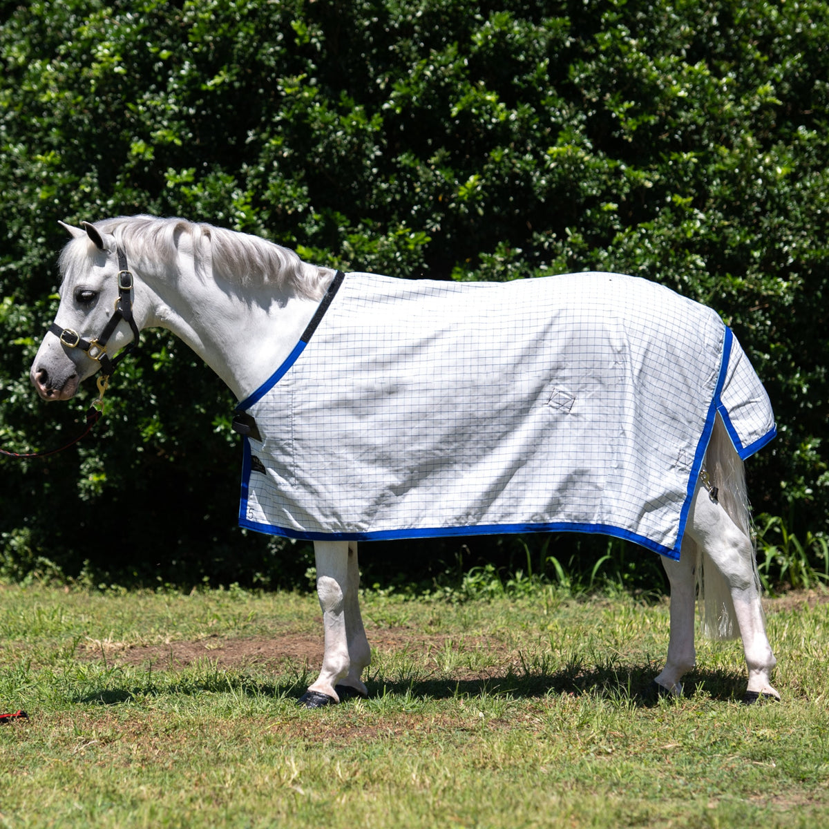 White with Blue Check Ripstop rug only, on a grey pony