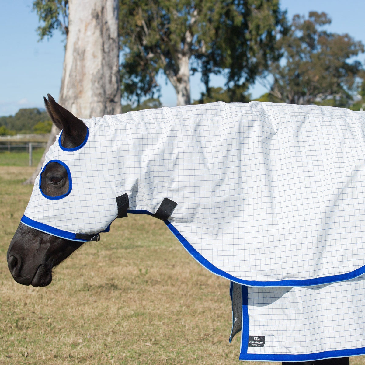 White with Blue Check Ripstop hood, close view